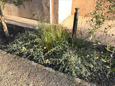Photo Paysagiste n°558 à La Ciotat par Laurence REARD
