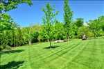 Exemple Entretien espace vert n°565 zone Gironde par Yann