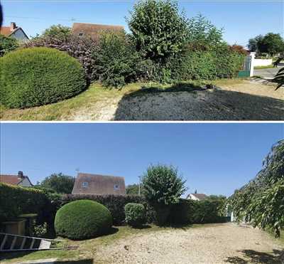 Photo entretien d'espace vert n°628 zone Loiret par maisonpropre45