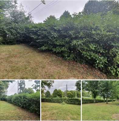Exemple entretien d'espace vert n°629 zone Loiret par maisonpropre45
