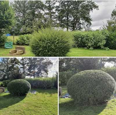 Photo jardinier n°630 à Orléans par maisonpropre45