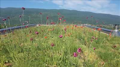 Photo paysagiste n°644 zone Rhône par Primevère