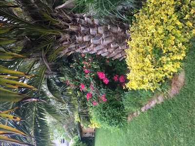 Photo jardinier n°656 zone Finistère par ADAPTEXPERT