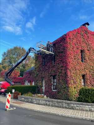 Exemple Abattage d’arbre n°673 zone Meurthe-et-Moselle par Sam