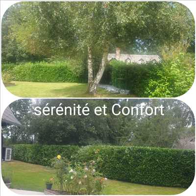 Photo entretien d'espace vert n°683 dans le département 27 par Sérénité & CONFORT
