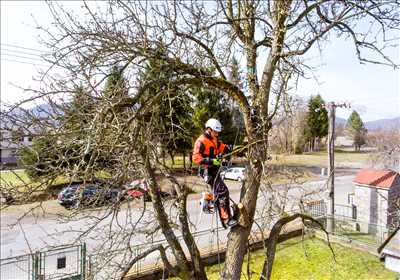 Photo élagueur d’arbre n°694 à Villeneuve La Garenne par Henri