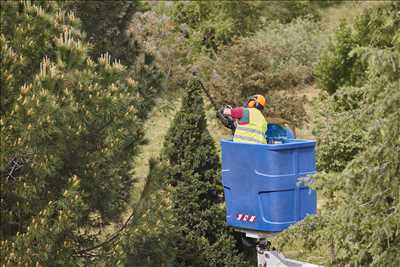 Exemple élagueur d’arbre n°769 zone Alpes-Maritimes par Peter