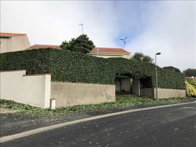 Photo Taille de haie n°794 à Vannes par ATYPIC JARDIN
