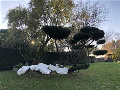 Photo entretien d'espace vert n°796 zone Loire-Atlantique par ATYPIC JARDIN