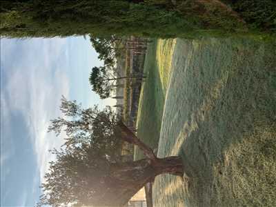 Photo Paysagiste n°80 zone Var par ES azur paysage
