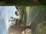 Photo Paysagiste n°80 zone Var par ES azur paysage