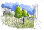 Photo Paysagiste concepteur n°840 zone Maine-et-Loire par PAYSA NATURE