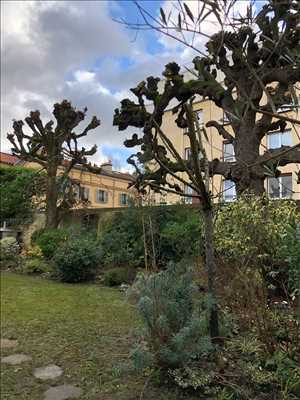 Photo élagueur d’arbre n°887 dans le département 91 par Stephane