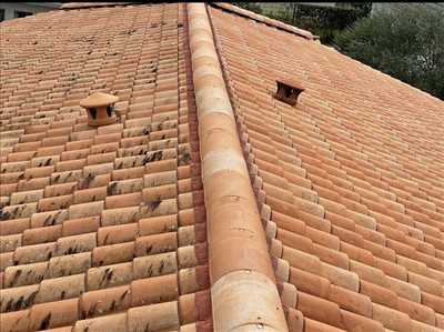 Exemple Démoussage n°889 zone Haute-Garonne par Mario