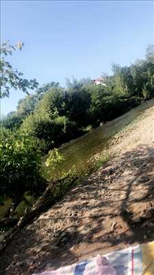 Photo élagueur d’arbre n°891 dans le département 31 par Mario