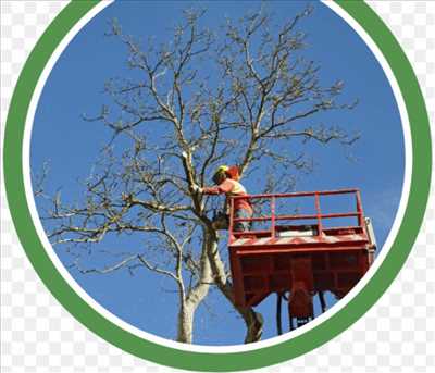 Exemple élagueur d’arbre n°893 zone Haute-Garonne par Mario