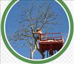 Exemple élagueur d’arbre n°893 zone Haute-Garonne par Mario