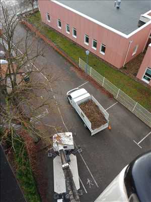 Photo élagueur d’arbre n°924 zone Meurthe-et-Moselle par Extrême élagage