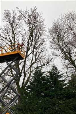 Photo ID 938 avec LES JARDINIERS BRETONS pour l’activité : élagueur d’arbre dans la région Bretagne