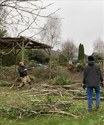 Photo élagueur d’arbre n°939 dans le département 29 par LES JARDINIERS BRETONS