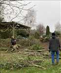 Photo élagueur d’arbre n°939 dans le département 29 par LES JARDINIERS BRETONS