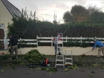 Photo tailleur de haies n°943 dans le département 29 par LES JARDINIERS BRETONS