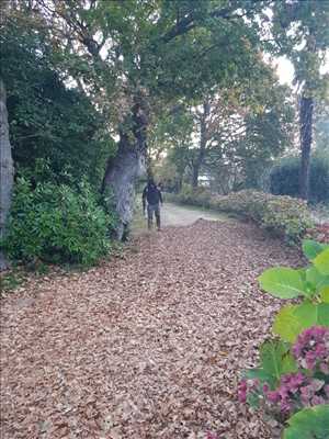 Photo spécialiste de l'entretien d'espace vert n°948 zone Finistère par LES JARDINIERS BRETONS