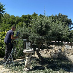 Les Jardins du Poète, un élagueur à Nice