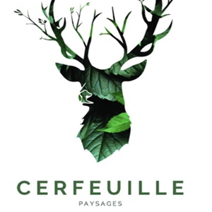 Cerfeuille paysages, un élagueur à Vitry-sur-Seine