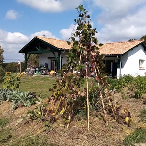 TERRA, un installateur de clôtures à Marmande
