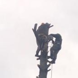 Clement, un constructeur de vérandas à Nevers
