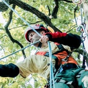Fred, un élagueur d’arbre à Clichy