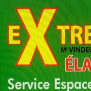 Extrême élagage, un élagueur à Epinal