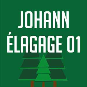 Johann Elagage 01, un élagueur à Bourg-en-Bresse