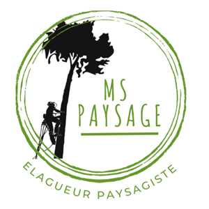MSpaysage, un élagueur à Albi