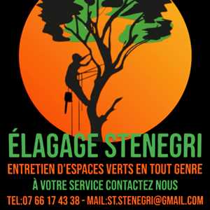 Elagage Stenegri, un élagueur à Sarreguemines