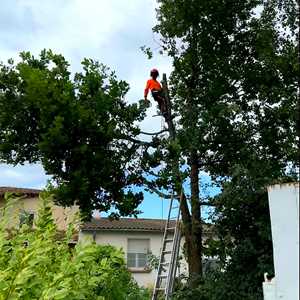 Michel , un débroussailleur à Albi