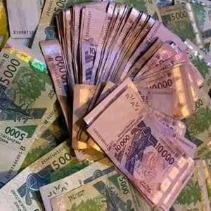 +229 46 94 65 21 EST-CE QUE LE PORTEFEUILLE MAGIQUE EXISTE VRAIMENT A EN AFRIQUE FRANCE EURO, un professionnel de l'entretien de jardin à Fort de France