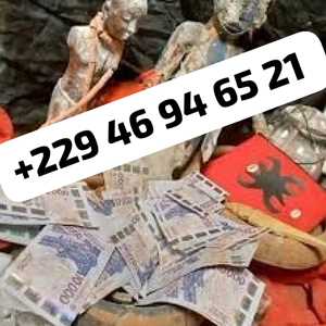 +229 46 94 65 21 APPRENEZ TOUS LES SECRETS SUR LE VRAI PORTE-FEUILLE MAGIQUE AU BENIN?, un expert en aménagement extérieur à Bastia