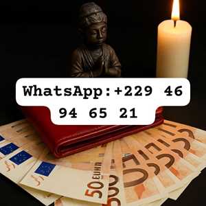 QUELLES SONT LES CONDITIONS POUR AVOIR LE VRAI PORTEFEUILLE MAGIQUE ?+229 46 94 65 21, un installateur de stores à Ajaccio