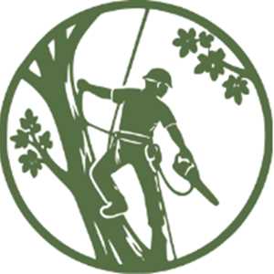 Adrien, un élagueur à Carcassonne